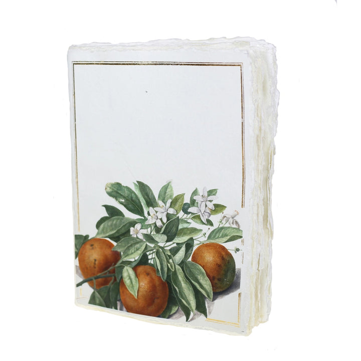 Epigram Oranges Notebook