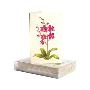 Paula Skene Orchid Mini Note Cards & Envelopes
