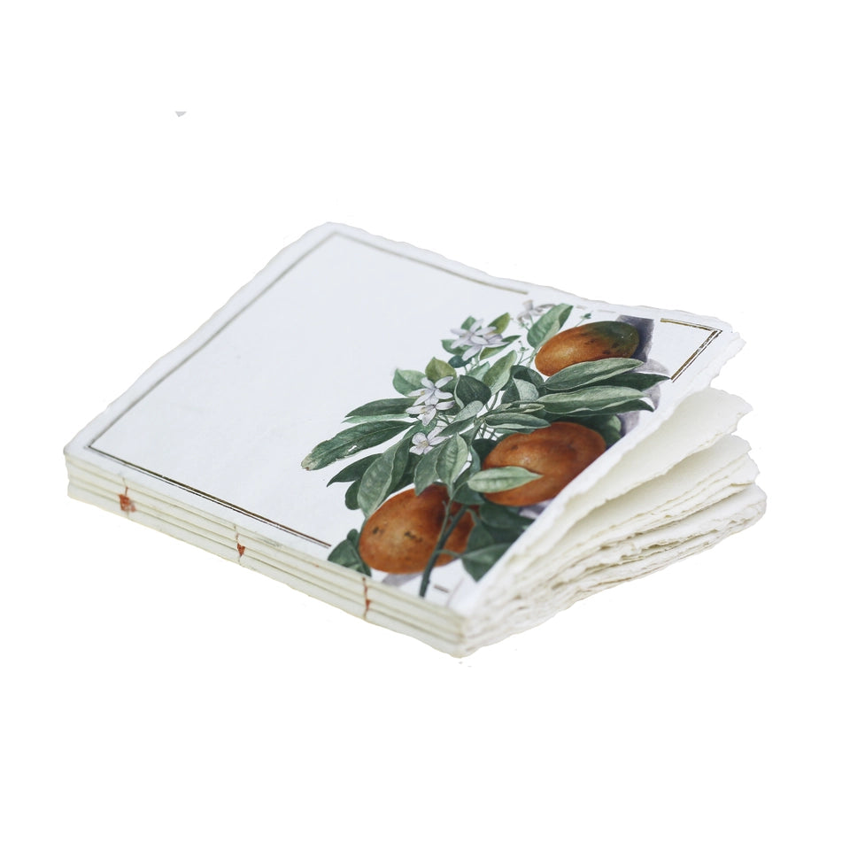 Epigram Oranges Notebook