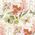 San Lorenzo Romantica Card - Portfolio Medium (10ct.)