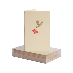 Paula Skene Hummingbird Mini Note Cards & Envelopes