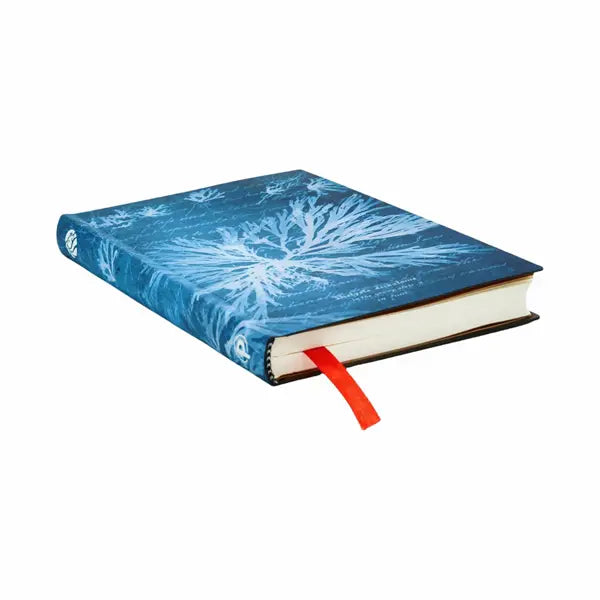 Paperblanks Anna Atkin&
