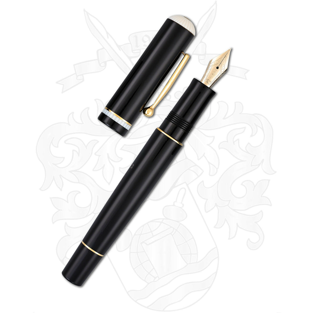 Delta Via Veneto Fountain Pen