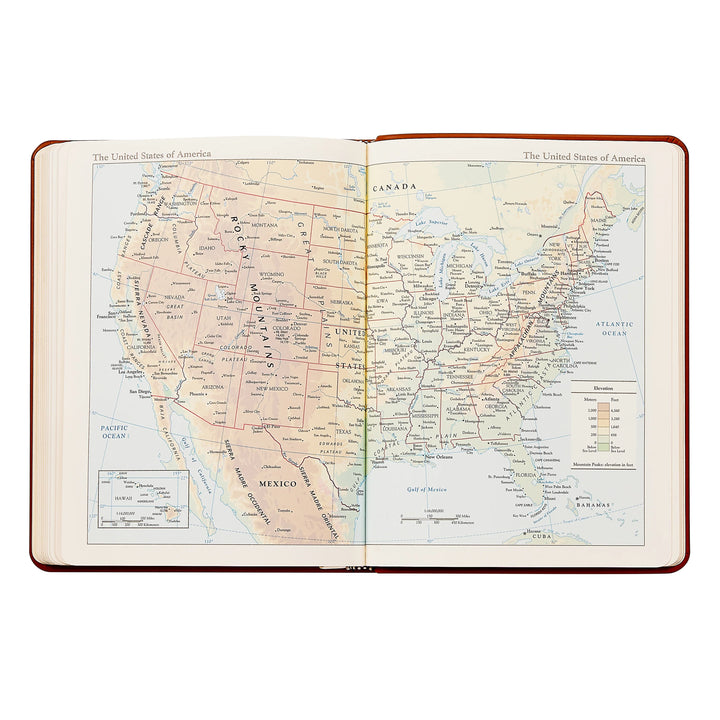 Graphic Image 2027 Planner - Embossed Croc Leather A5