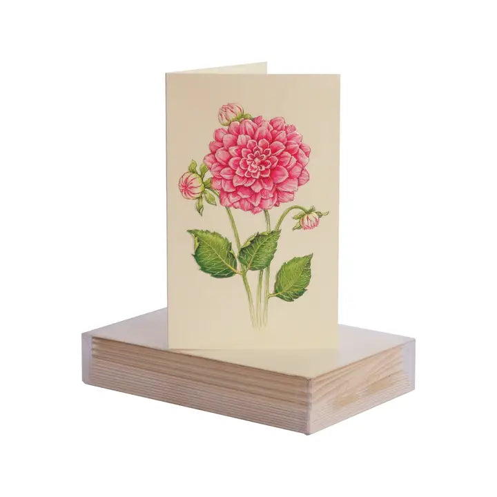 Paula Skene Dahlia Mini Note Cards &amp; Envelopes