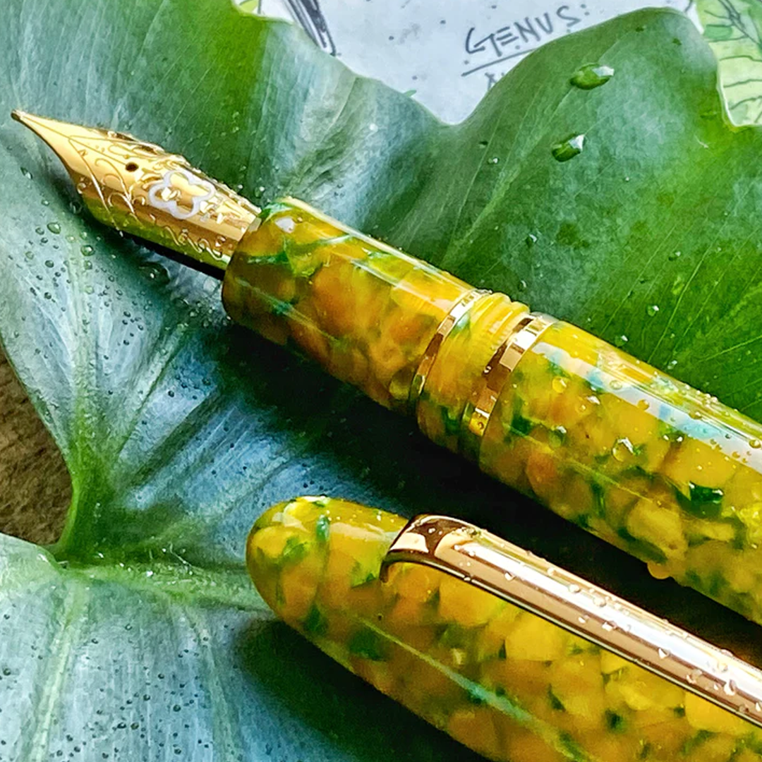 Esterbrook Rainforest LE Oversize - Fountain Pen