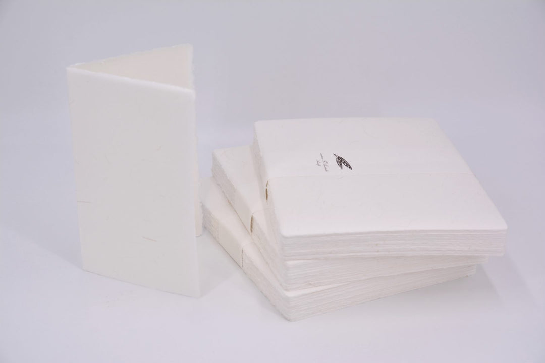 Amalfi Paper Folded Note Card (50 Sheets) | AMATRUDA ITALY