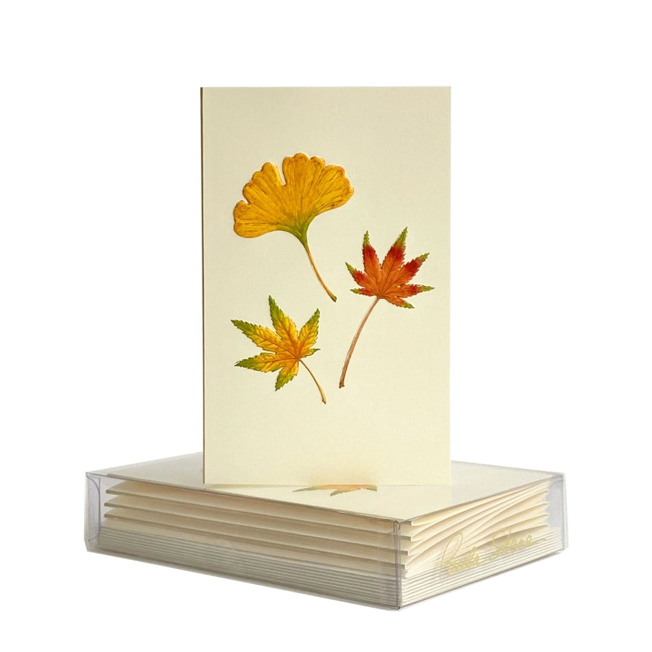 Paula Skene Leaf Medley Mini Note Card &amp; Envelopes