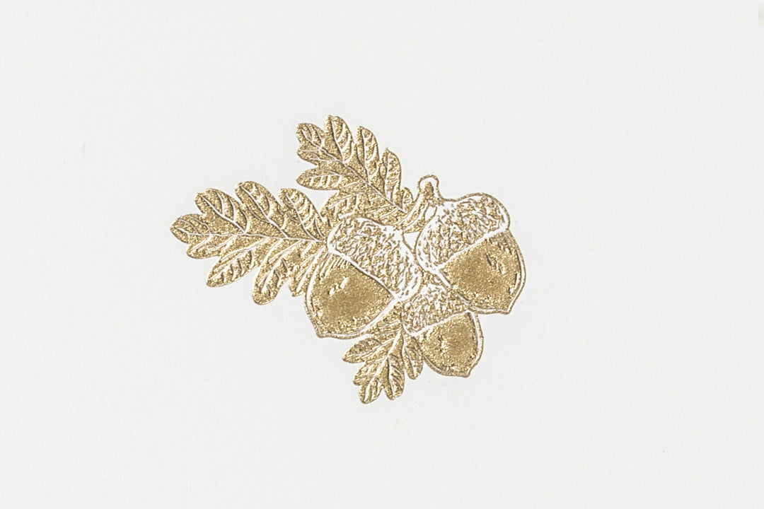 Grosvenor Cards &amp; Envelopes - Acorns (10ct.)