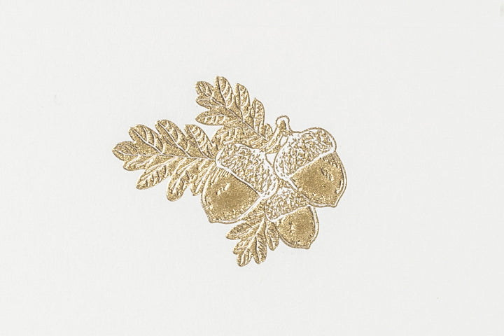 Grosvenor Cards &amp; Envelopes - Acorns (10ct.)