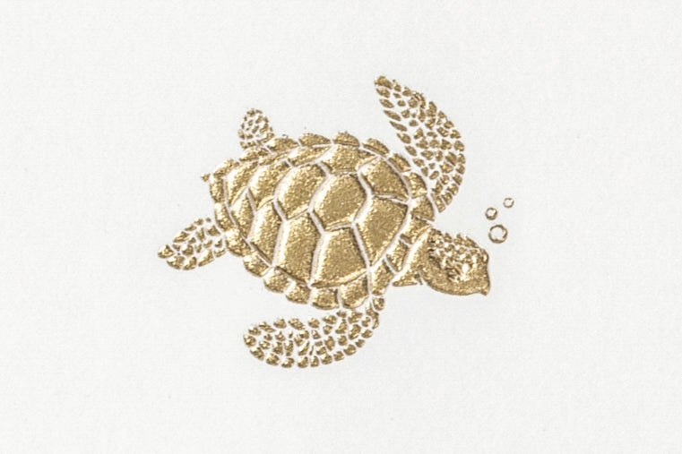 Grosvenor Cards &amp; Envelopes - Bubbles the Turtle (10ct.)