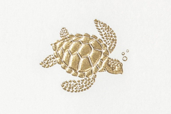 Grosvenor Cards &amp; Envelopes - Bubbles the Turtle (10ct.)