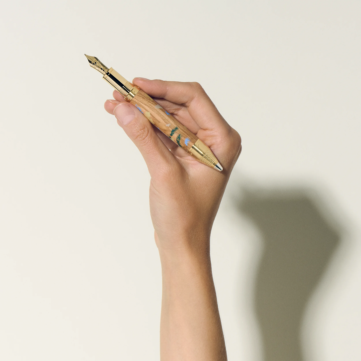Montblanc Masters of Art Homage to Pierre-Auguste Renoir Limited Edition 4810 Fountain Pen