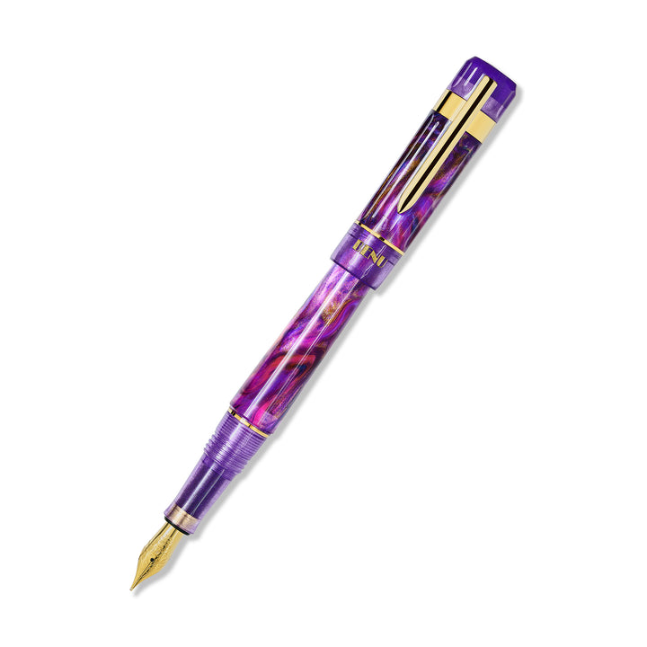 Benu Matisse Tribute Fountain Pen