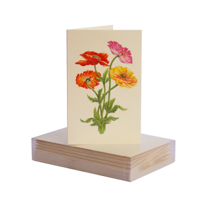 Paula Skene Colorful Poppies Mini Note Cards & Envelopes