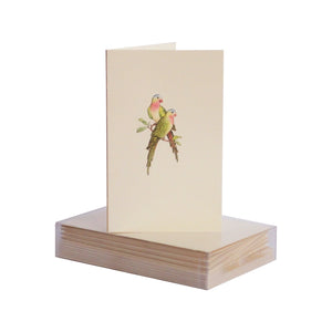 Paula Skene Parrots Mini Note Card