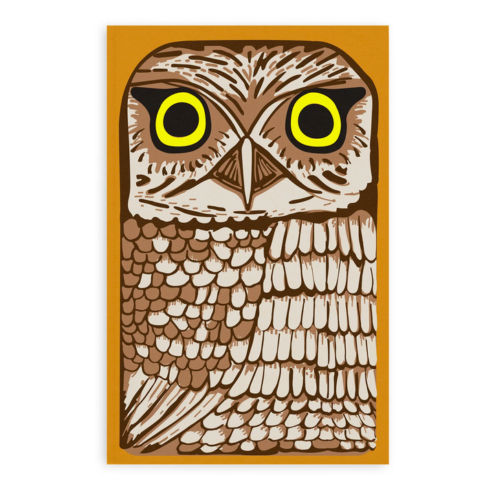 Retro 51 Owl Rescue Classic Notebook