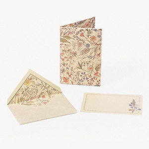 San Lorenzo Primavera Card - Portfolio Medium (10ct.)