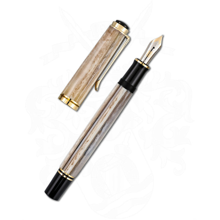 Pelikan M620 Piazza Navona Fountain Pen
