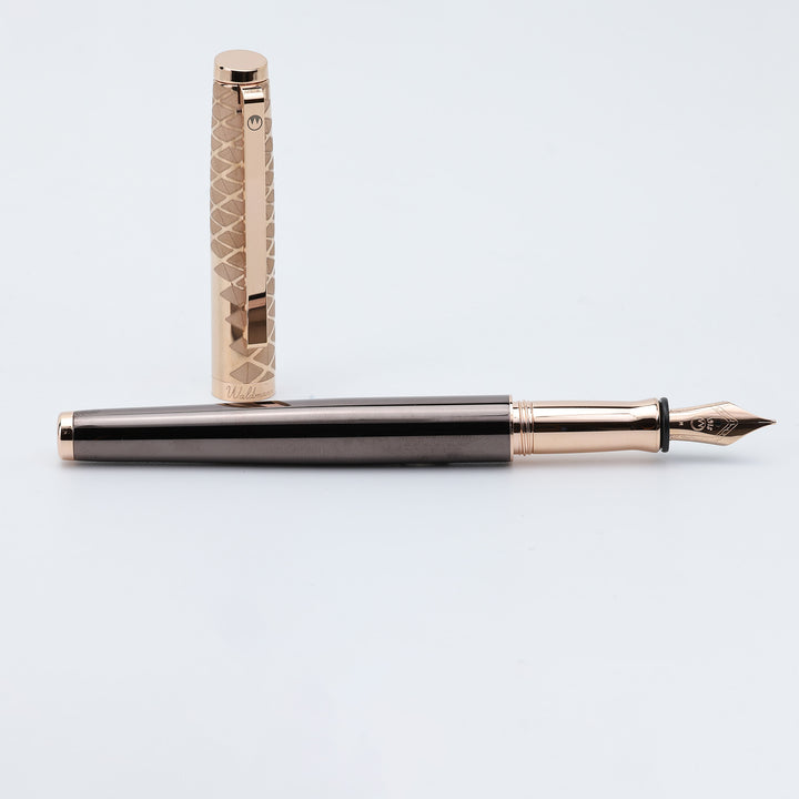 Waldmann Tuscany Fountain Pen - Vela - Steel