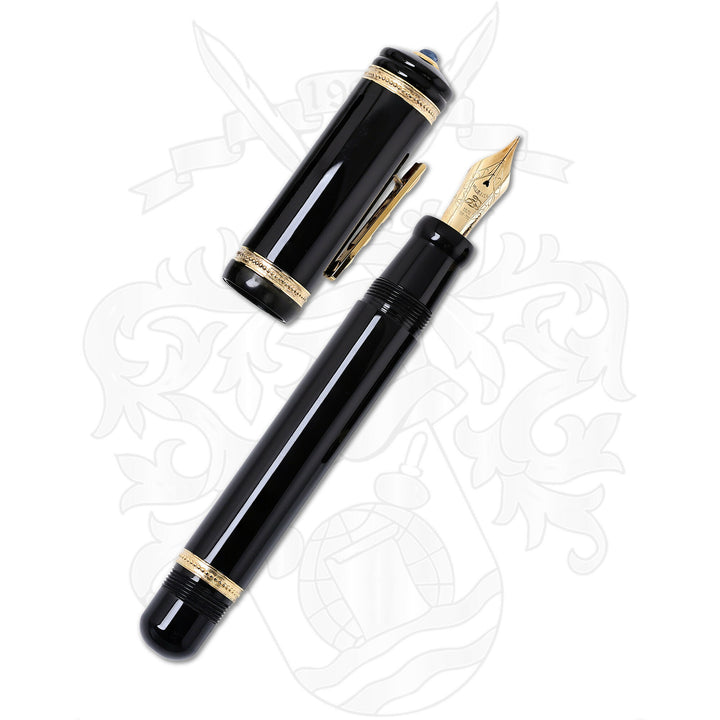 Delta Limited Edition Isaac Newton Fountain Pen