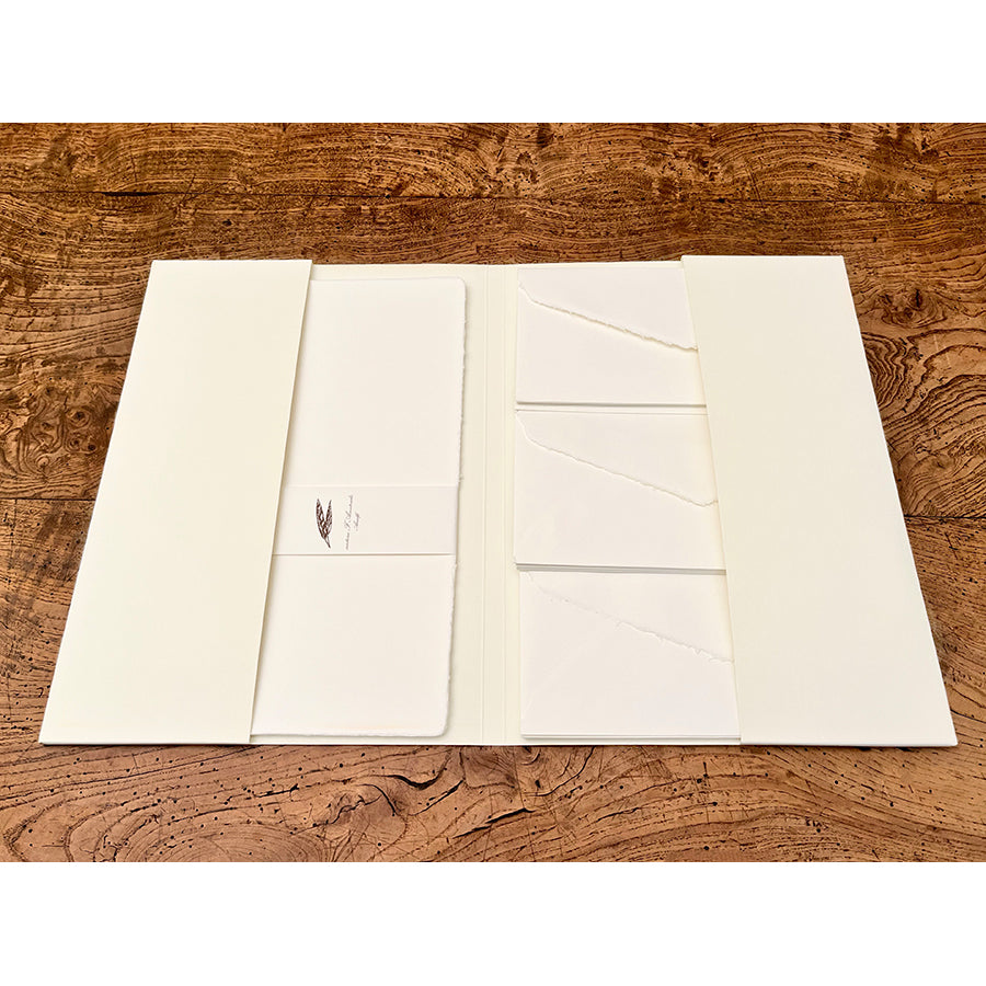 Amatruda Writing Sheets and Envelopes- Portfolio