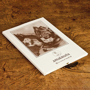 Amatruda Writing Sheets and Envelopes- Portfolio Watermark