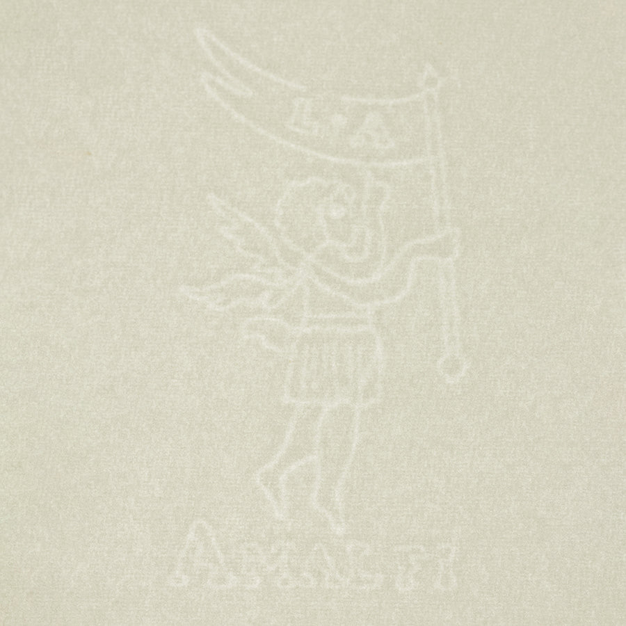 Amatruda Writing Sheets and Envelopes- Portfolio Watermark