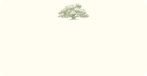Alexa Pulitzer Oak Tree Monarch Notes