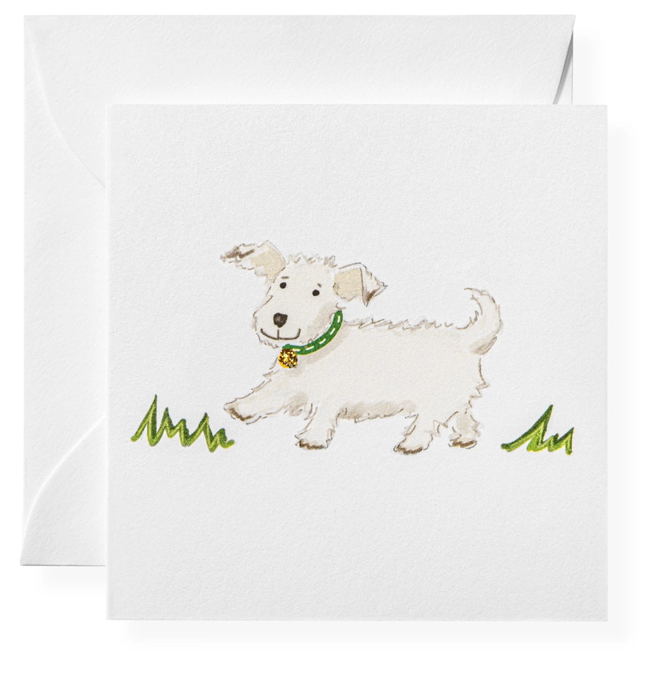 Karen Adams Friend Gift Enclosures Cards &amp; Envelopes (6ct.)