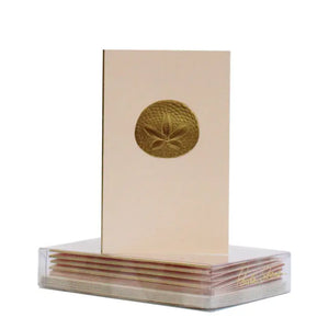 Paula Skene Sand Dollar Mini Note Card & Envelopes