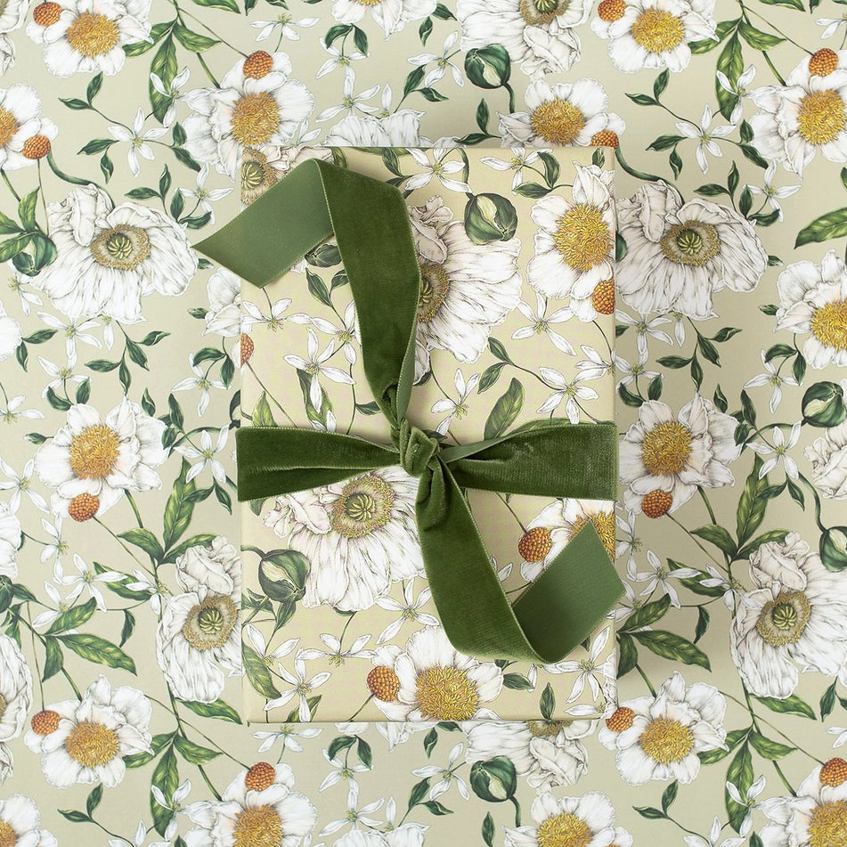 Catherine Lewis Spring Blossom - Green Gift Wrapping Paper (2 Sheets)