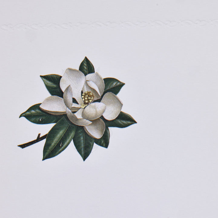 Magnolia Bloom Folded Card Set (10ct.) 3.33"x 5.12" I Rossi 1931 Italian Stationery