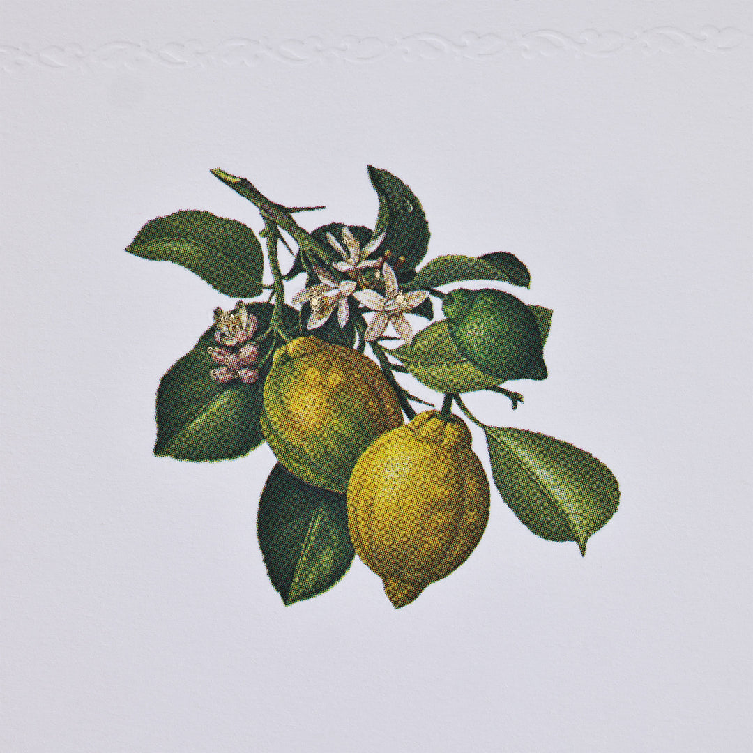 Lemon Botanical Folded Card Set (10ct.) 3.33" x 5.12" | Rossi 1931 Italian Stationery