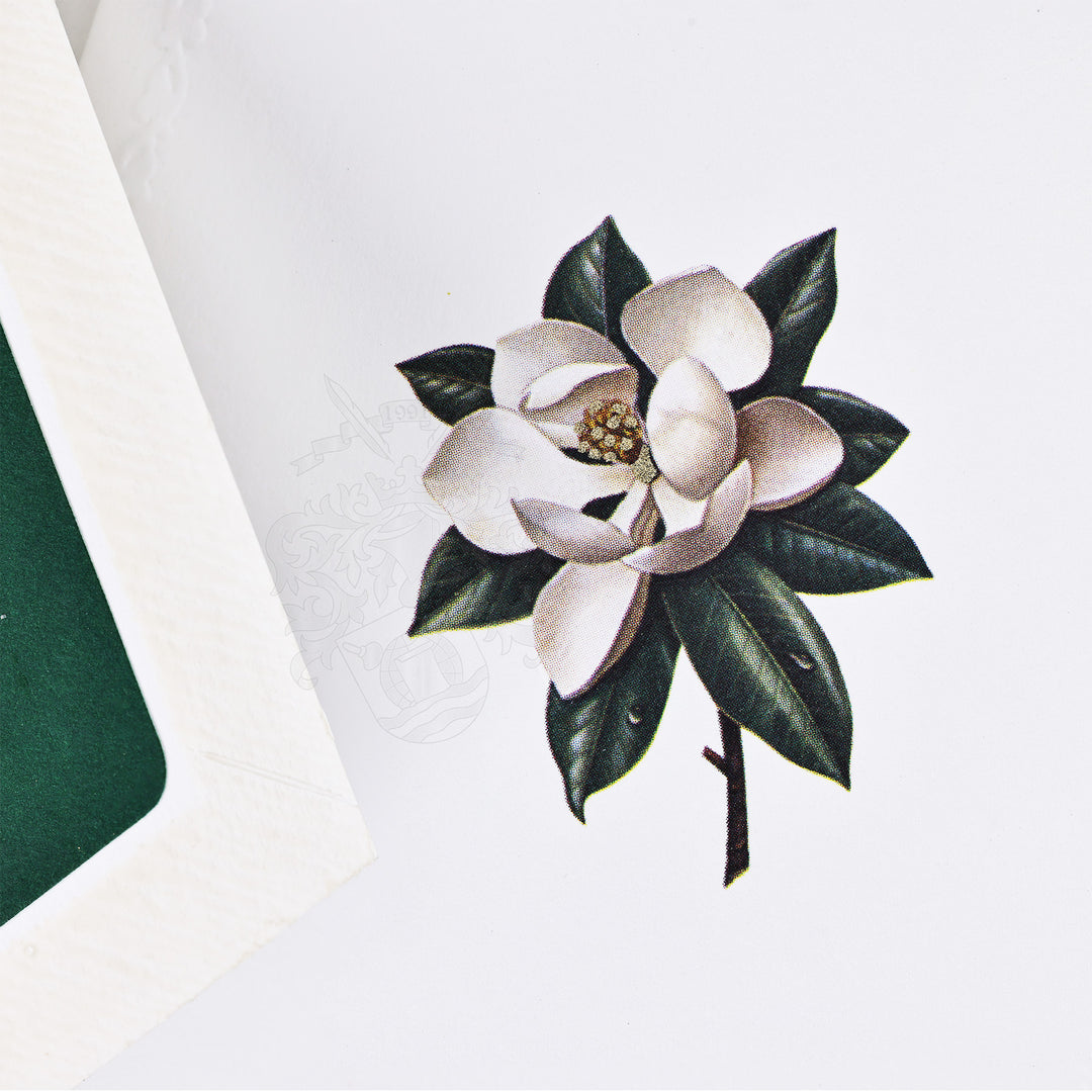 Magnolia Bloom Folded Card Set (10ct.) 3.33"x 5.12" I Rossi 1931 Italian Stationery