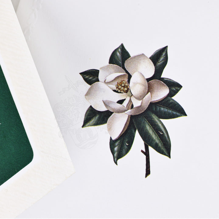 Magnolia Bloom Folded Card Set (10ct.) 3.33"x 5.12" I Rossi 1931 Italian Stationery