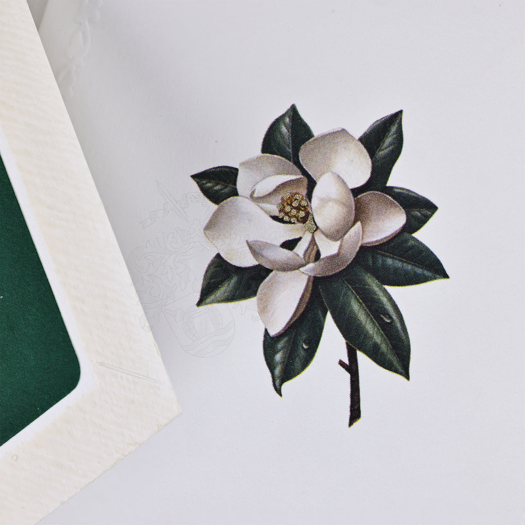 Magnolia Bloom Folded Card Set (10ct.) 3.33"x 5.12" I Rossi 1931 Italian Stationery