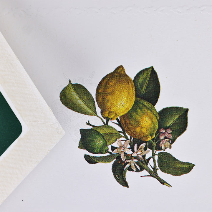 “Lemons” Writing Set ( 10CT.) 6.25" x 8.50" I Rossi 1931 Italian Stationery