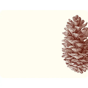 Alexa Pulitzer Pinecone Note Card with Plain Envelope
