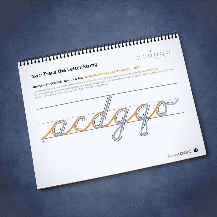 Cursive Logic Workbook
