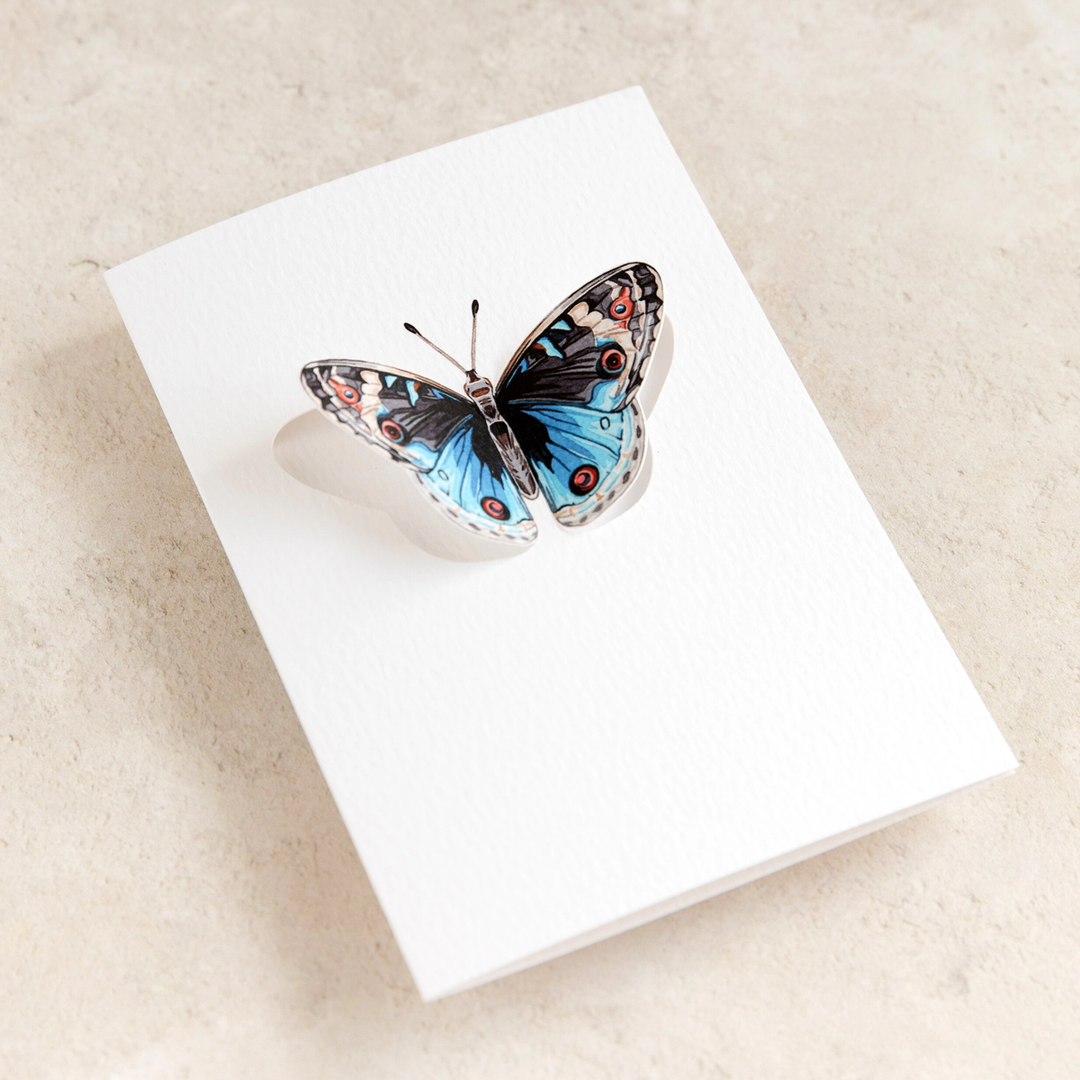 Sophie Brabbins - 3D Greeting Cards