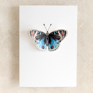 Sophie Brabbins - 3D Greeting Cards