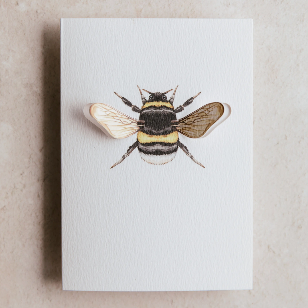 Sophie Brabbins - 3D Greeting Cards