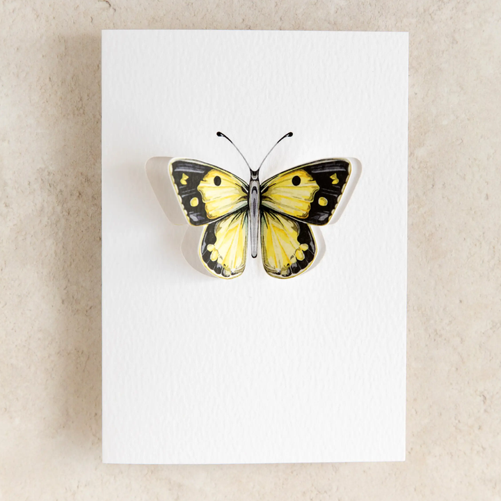 Sophie Brabbins - 3D Greeting Cards