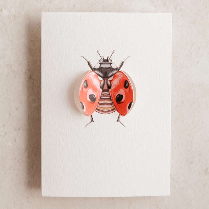 Sophie Brabbins - 3D Greeting Cards