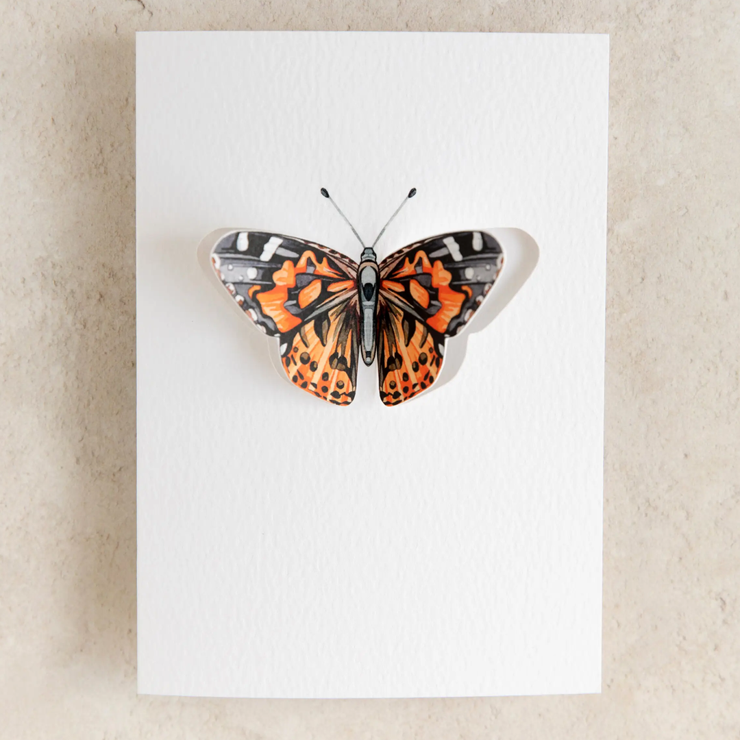 Sophie Brabbins - 3D Greeting Cards
