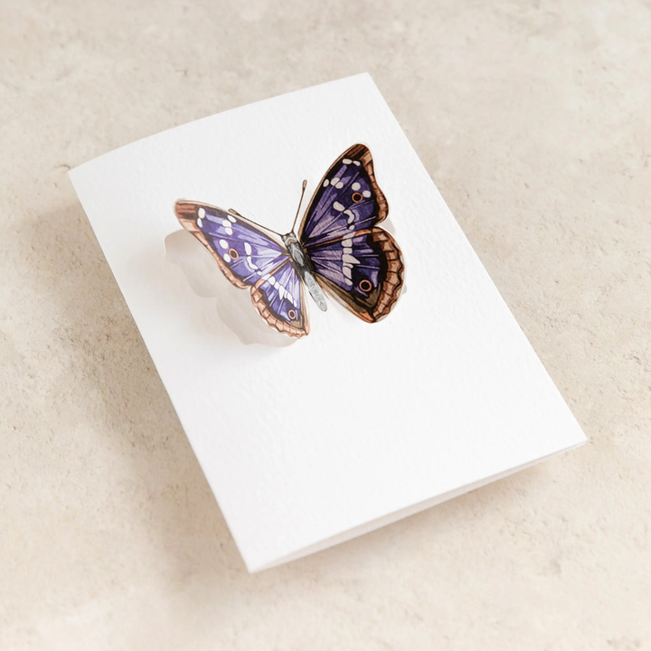 Sophie Brabbins - 3D Greeting Cards