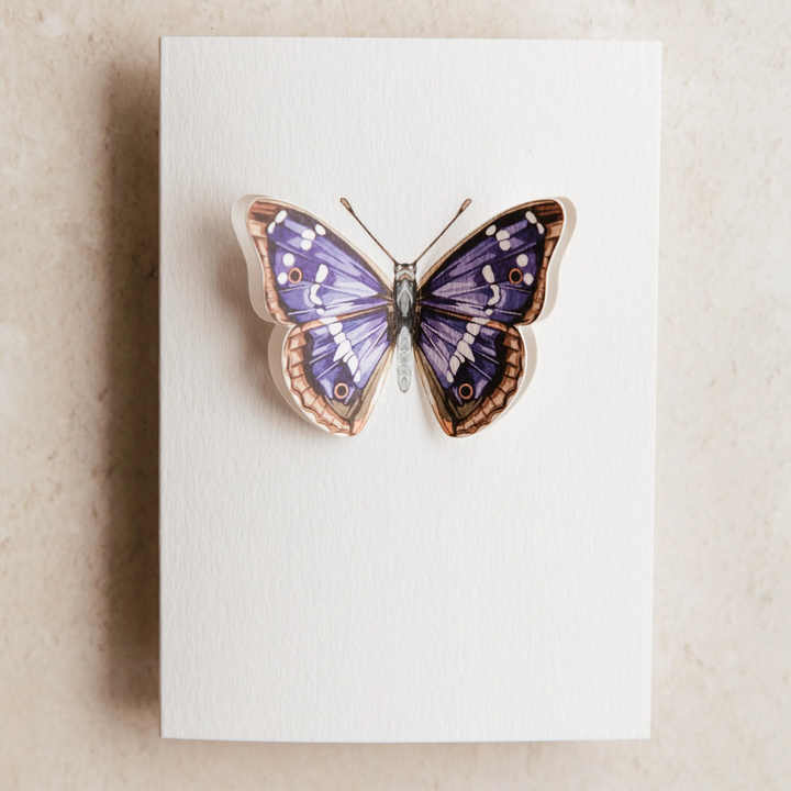Sophie Brabbins - 3D Greeting Cards