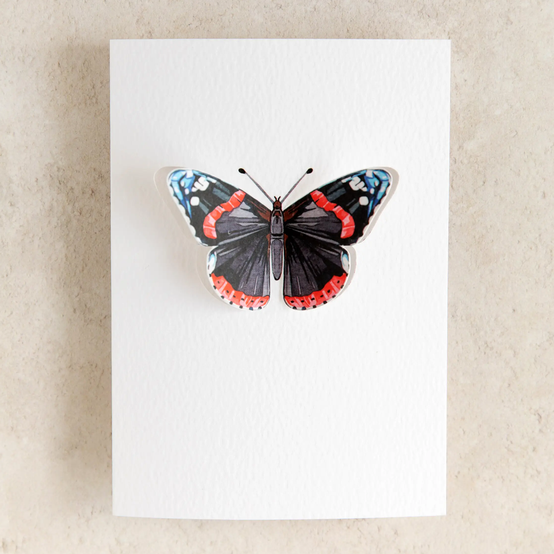 Sophie Brabbins - 3D Greeting Cards