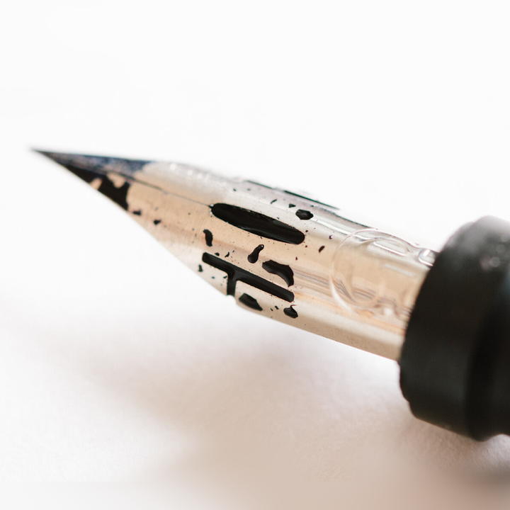 Desiderata Eucalyptus Burl Soubriquet Fountain Pen